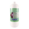 SHAMPOO MOQUETTE SCHIUMOSO flacone   Kg.1