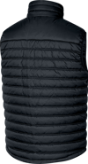GILET DELTA PLUS "GDOON"