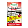 RICARICA BLISTER FEROMONI POPILLIA CF. PZ. 2