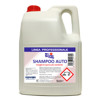 DETERGENTE AUTO tanica lt. 5